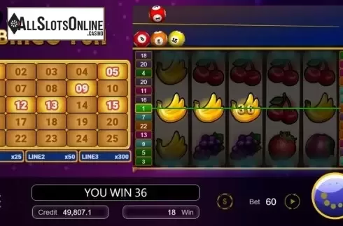 Win Screen 4. Bingo Fun from Manna Play