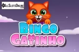 Bingo Gatinho