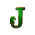 icon 10