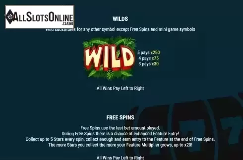 Wild Symbol Screen