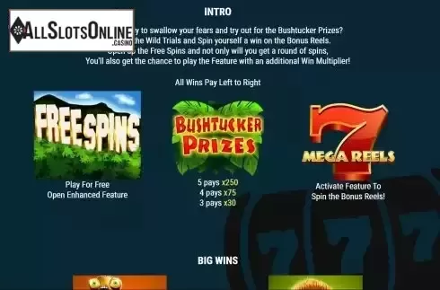 Feature Screen