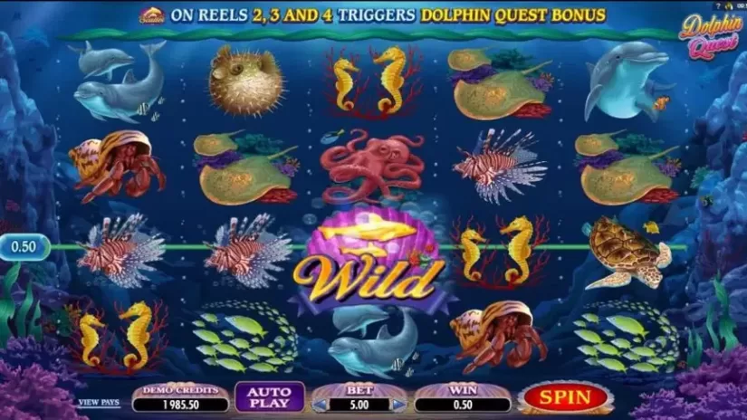 Dolphin Quest slot screenshot 2
