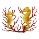 icon 9