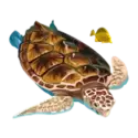 icon 4
