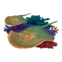 icon 6