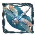 icon 5