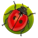 icon 1