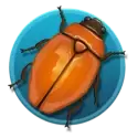 icon 3