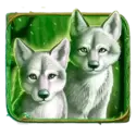 icon 4