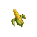 icon 6