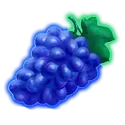 icon 5