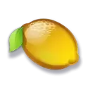 icon 7