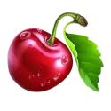 icon 10
