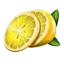 icon 9