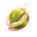 icon 5