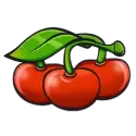 icon 6