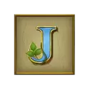 icon 10
