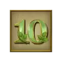 icon 11