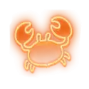 icon 5
