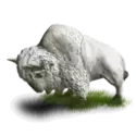 icon 7