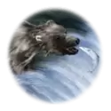 icon 10
