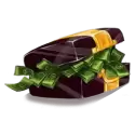 icon 1