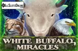 White Buffalo Miracles