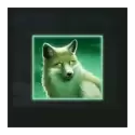 icon 5