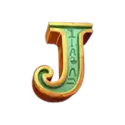 icon 9