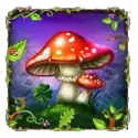 icon 6