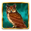 icon 4