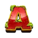 icon 5