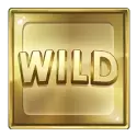 icon 4