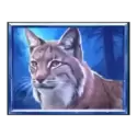 icon 5