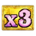 icon 13