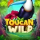 Toucan Wild