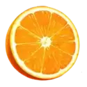 icon 4