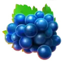 icon 3