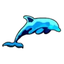 icon 5