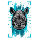 icon 5