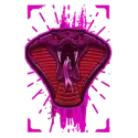 icon 2