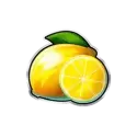 icon 5