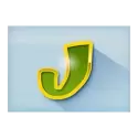 icon 10