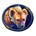icon 6