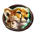 icon 3