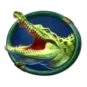 icon 5