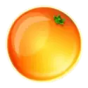 icon 9