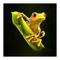 icon 3