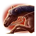 icon 5
