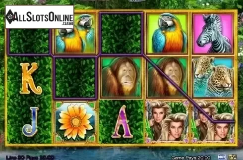 Win Screen2. Princess of Paradise from High 5 Games